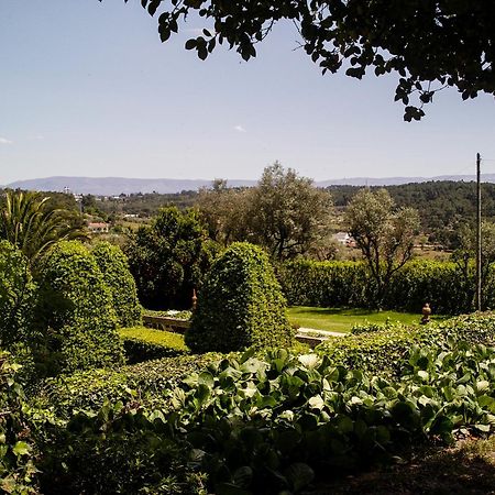Villa Quinta Da Fata à Nelas Extérieur photo