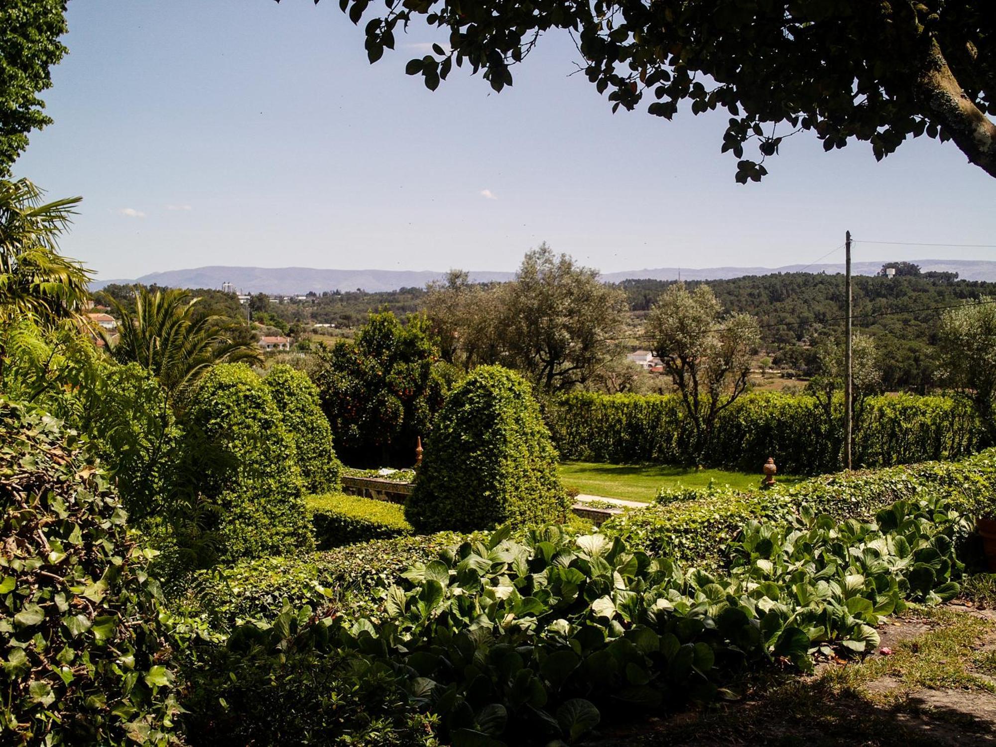 Villa Quinta Da Fata à Nelas Extérieur photo