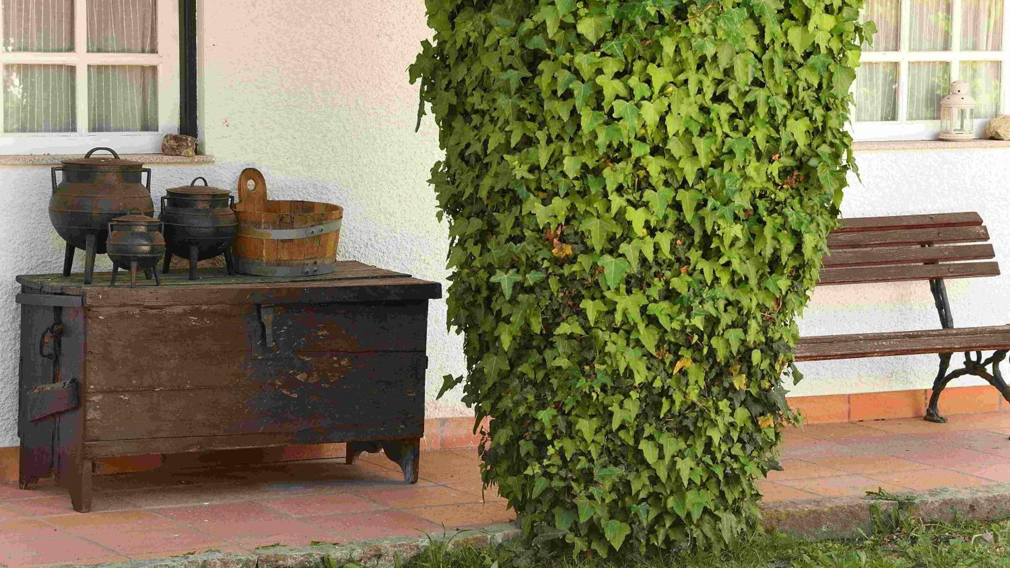 Villa Quinta Da Fata à Nelas Extérieur photo