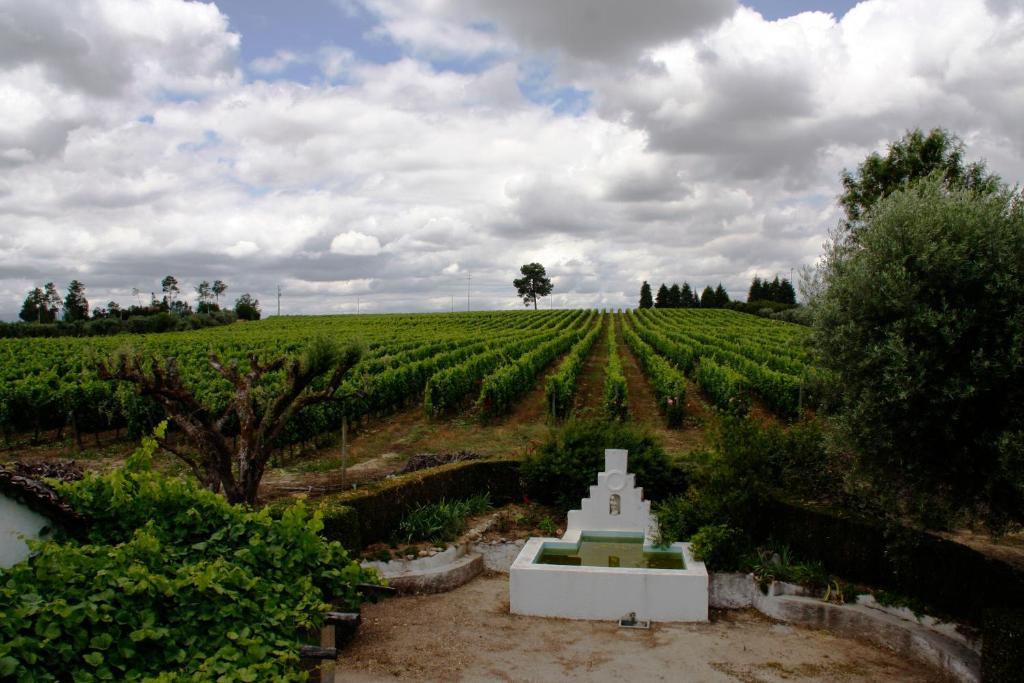 Villa Quinta Da Fata à Nelas Extérieur photo