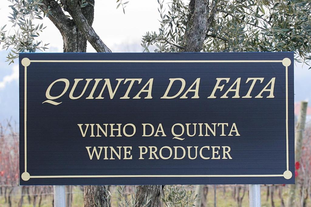 Villa Quinta Da Fata à Nelas Extérieur photo
